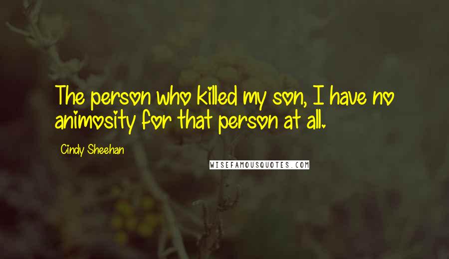 Cindy Sheehan Quotes: The person who killed my son, I have no animosity for that person at all.
