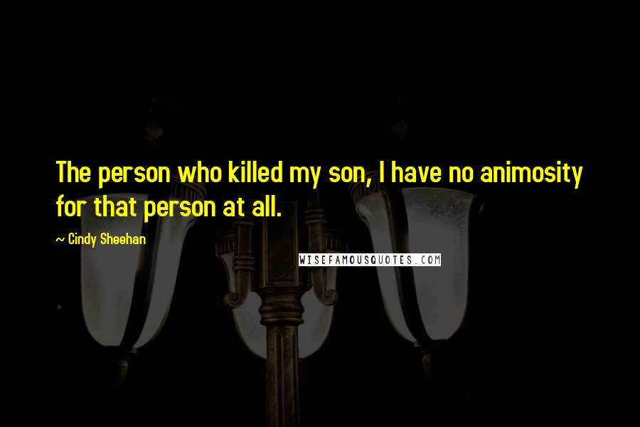 Cindy Sheehan Quotes: The person who killed my son, I have no animosity for that person at all.