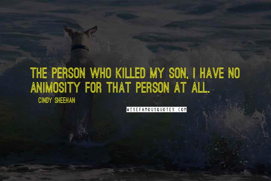 Cindy Sheehan Quotes: The person who killed my son, I have no animosity for that person at all.