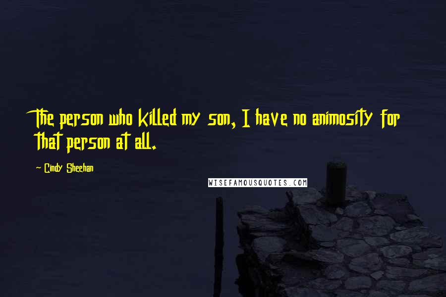 Cindy Sheehan Quotes: The person who killed my son, I have no animosity for that person at all.