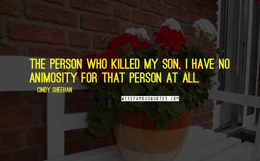 Cindy Sheehan Quotes: The person who killed my son, I have no animosity for that person at all.