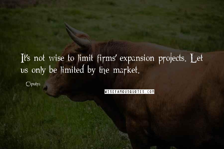 Ciputra Quotes: It's not wise to limit firms' expansion projects. Let us only be limited by the market.