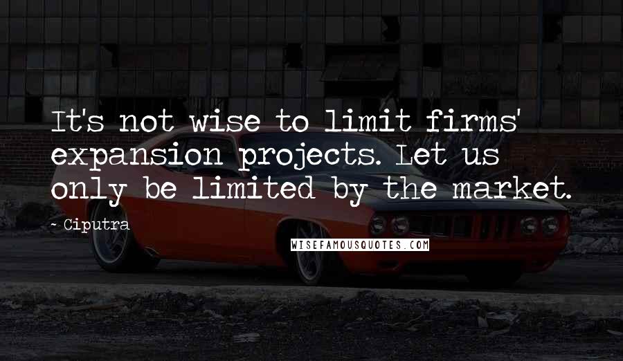 Ciputra Quotes: It's not wise to limit firms' expansion projects. Let us only be limited by the market.