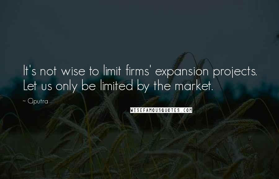 Ciputra Quotes: It's not wise to limit firms' expansion projects. Let us only be limited by the market.