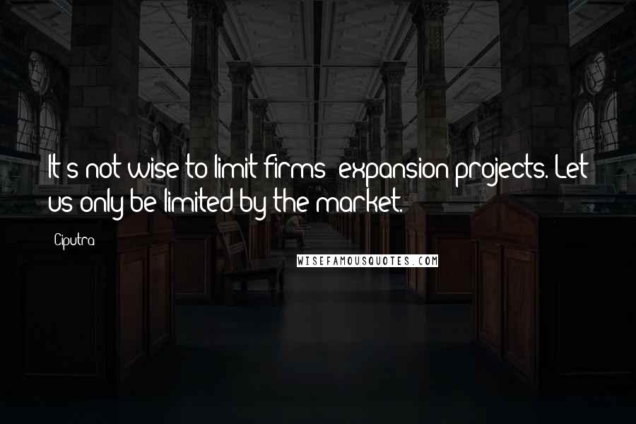 Ciputra Quotes: It's not wise to limit firms' expansion projects. Let us only be limited by the market.