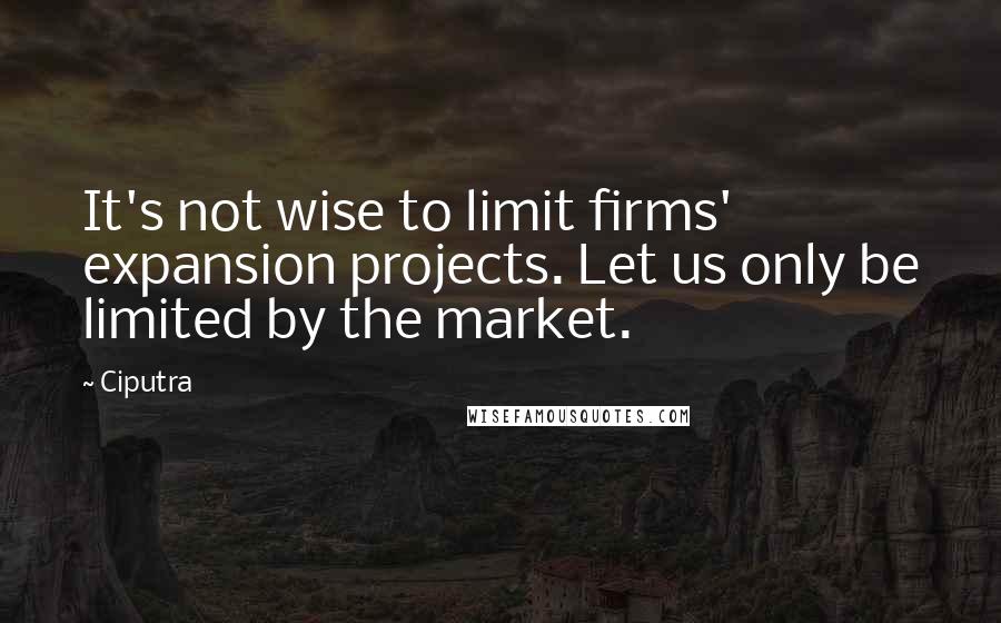 Ciputra Quotes: It's not wise to limit firms' expansion projects. Let us only be limited by the market.