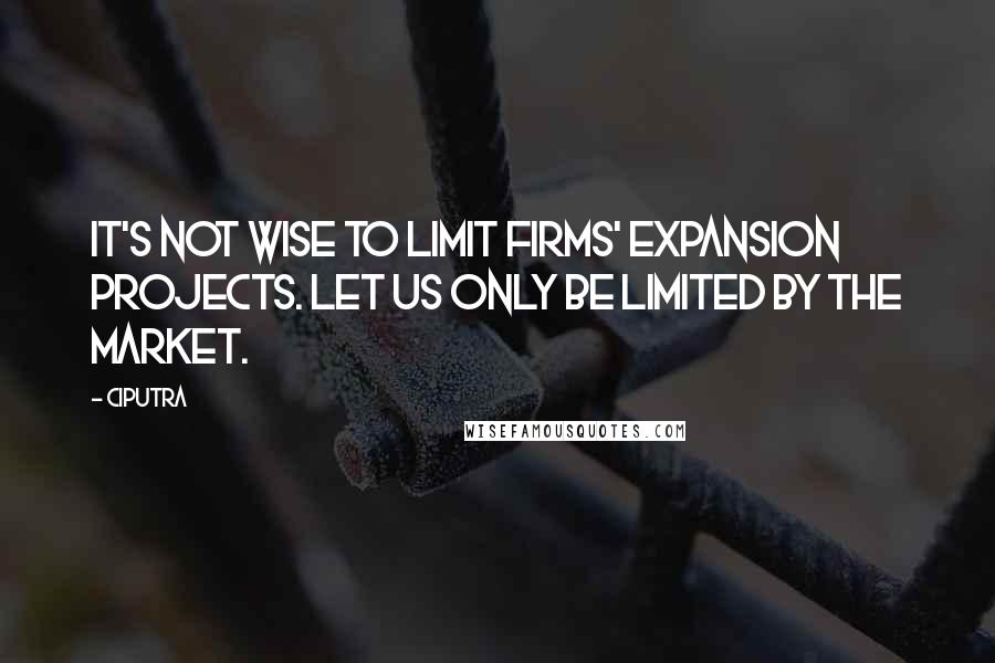 Ciputra Quotes: It's not wise to limit firms' expansion projects. Let us only be limited by the market.