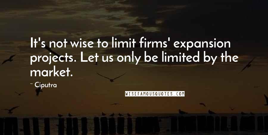 Ciputra Quotes: It's not wise to limit firms' expansion projects. Let us only be limited by the market.