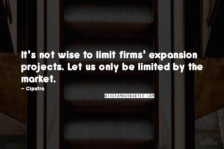 Ciputra Quotes: It's not wise to limit firms' expansion projects. Let us only be limited by the market.