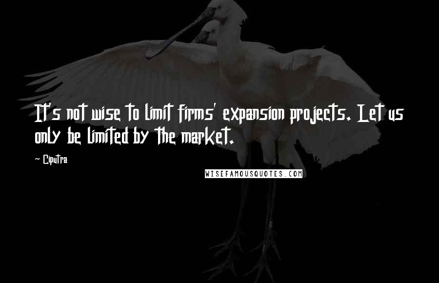 Ciputra Quotes: It's not wise to limit firms' expansion projects. Let us only be limited by the market.