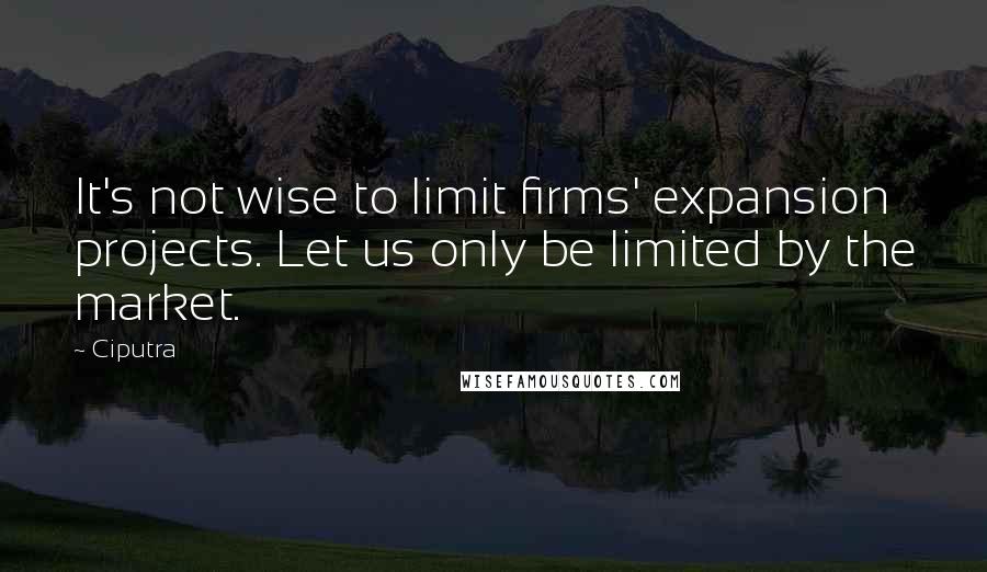 Ciputra Quotes: It's not wise to limit firms' expansion projects. Let us only be limited by the market.