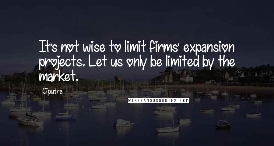 Ciputra Quotes: It's not wise to limit firms' expansion projects. Let us only be limited by the market.