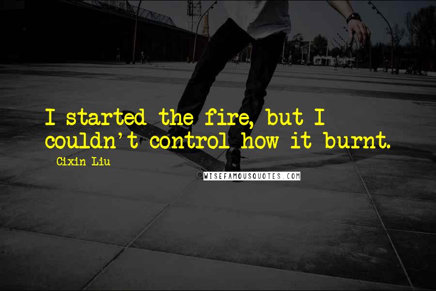 Cixin Liu Quotes: I started the fire, but I couldn't control how it burnt.