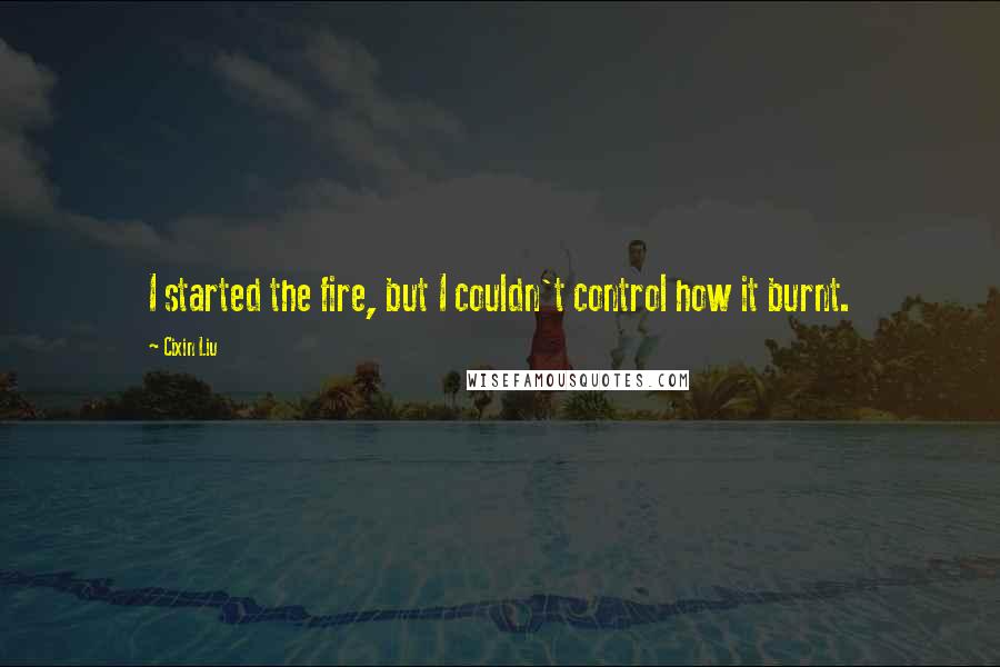 Cixin Liu Quotes: I started the fire, but I couldn't control how it burnt.