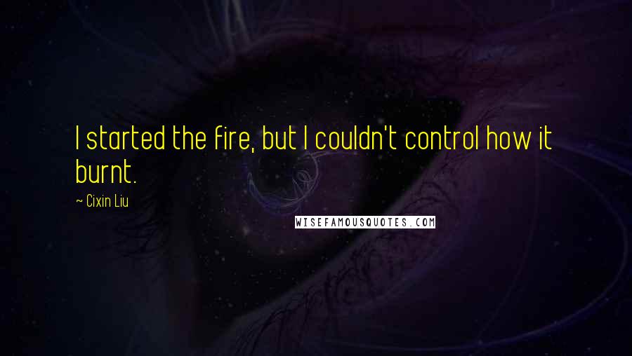 Cixin Liu Quotes: I started the fire, but I couldn't control how it burnt.