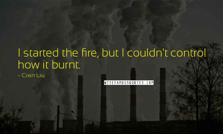 Cixin Liu Quotes: I started the fire, but I couldn't control how it burnt.