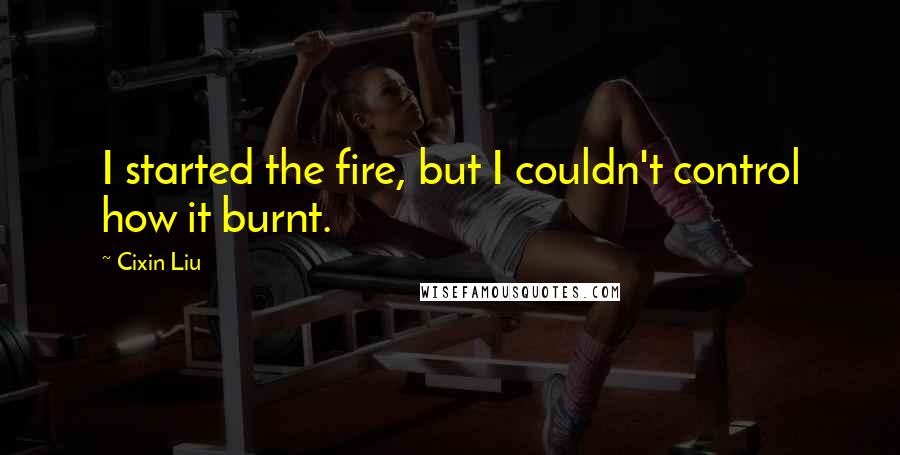 Cixin Liu Quotes: I started the fire, but I couldn't control how it burnt.