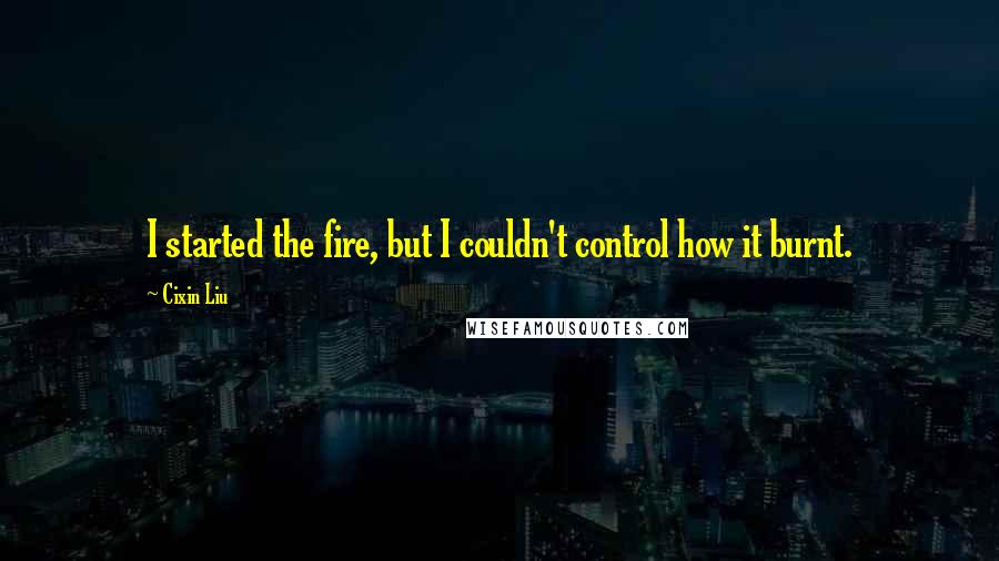 Cixin Liu Quotes: I started the fire, but I couldn't control how it burnt.