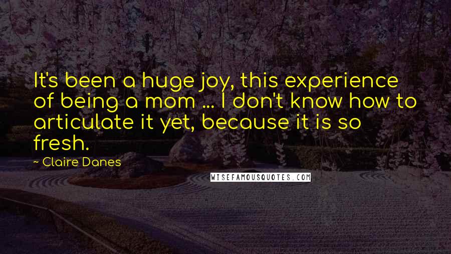 Claire Danes Quotes: It's been a huge joy, this experience of being a mom ... I don't know how to articulate it yet, because it is so fresh.