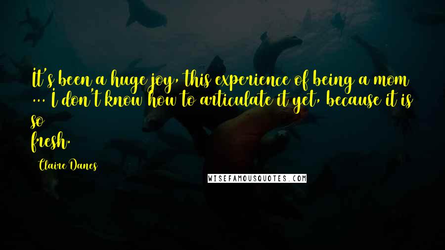 Claire Danes Quotes: It's been a huge joy, this experience of being a mom ... I don't know how to articulate it yet, because it is so fresh.