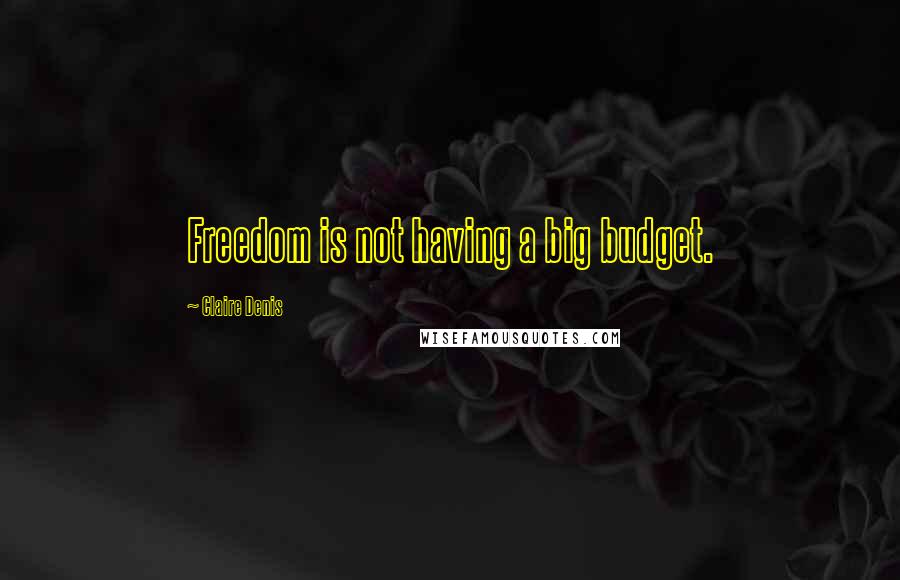 Claire Denis Quotes: Freedom is not having a big budget.