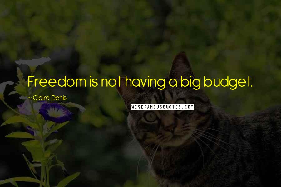 Claire Denis Quotes: Freedom is not having a big budget.