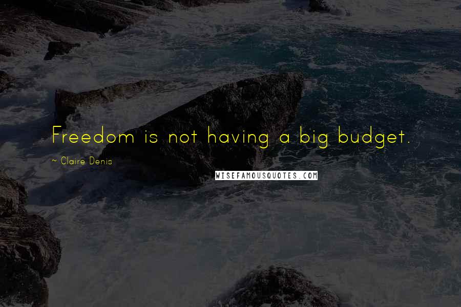 Claire Denis Quotes: Freedom is not having a big budget.
