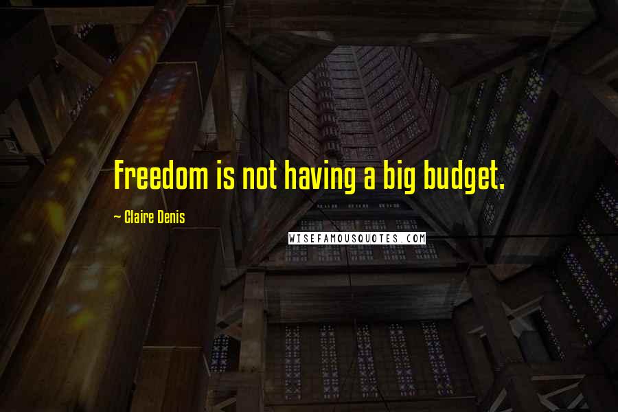 Claire Denis Quotes: Freedom is not having a big budget.