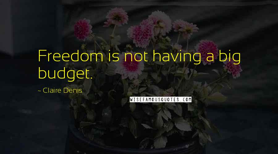 Claire Denis Quotes: Freedom is not having a big budget.