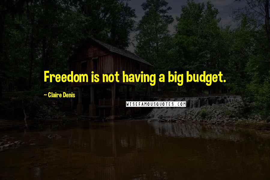 Claire Denis Quotes: Freedom is not having a big budget.