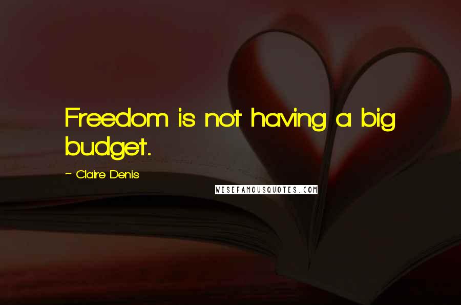 Claire Denis Quotes: Freedom is not having a big budget.