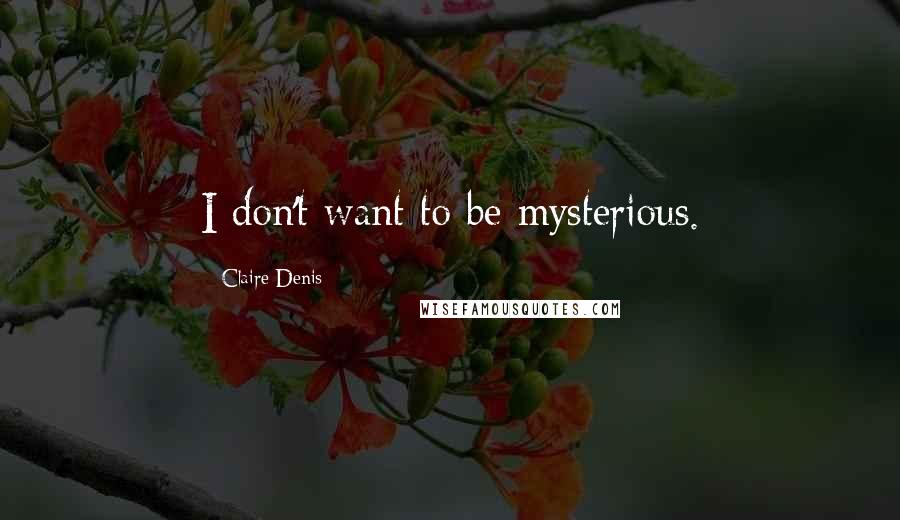 Claire Denis Quotes: I don't want to be mysterious.