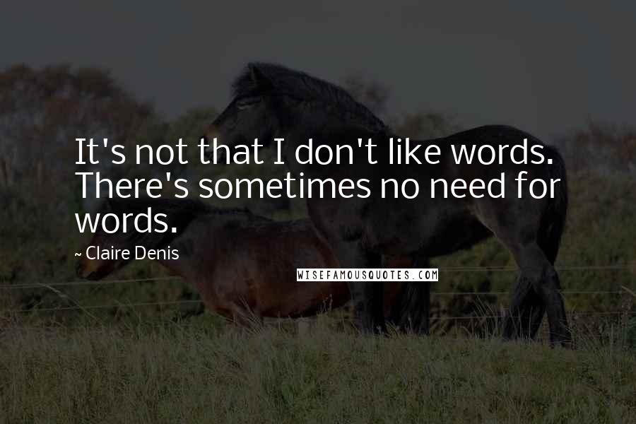 Claire Denis Quotes: It's not that I don't like words. There's sometimes no need for words.