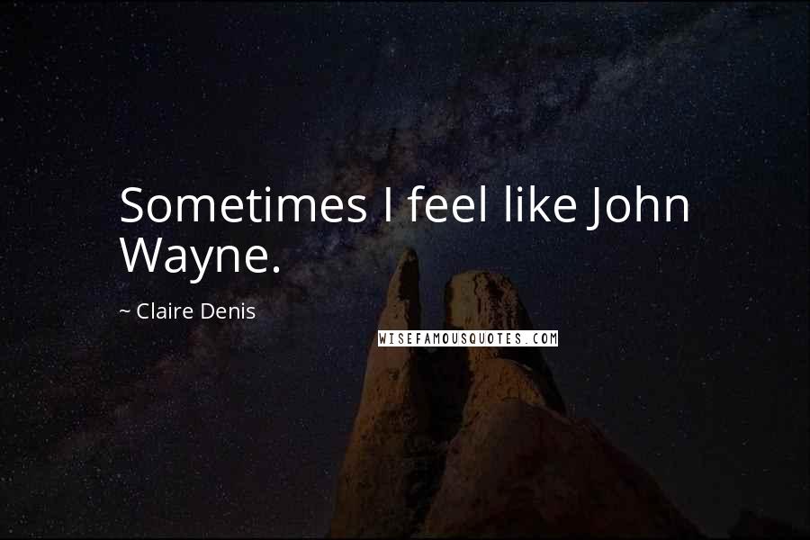 Claire Denis Quotes: Sometimes I feel like John Wayne.