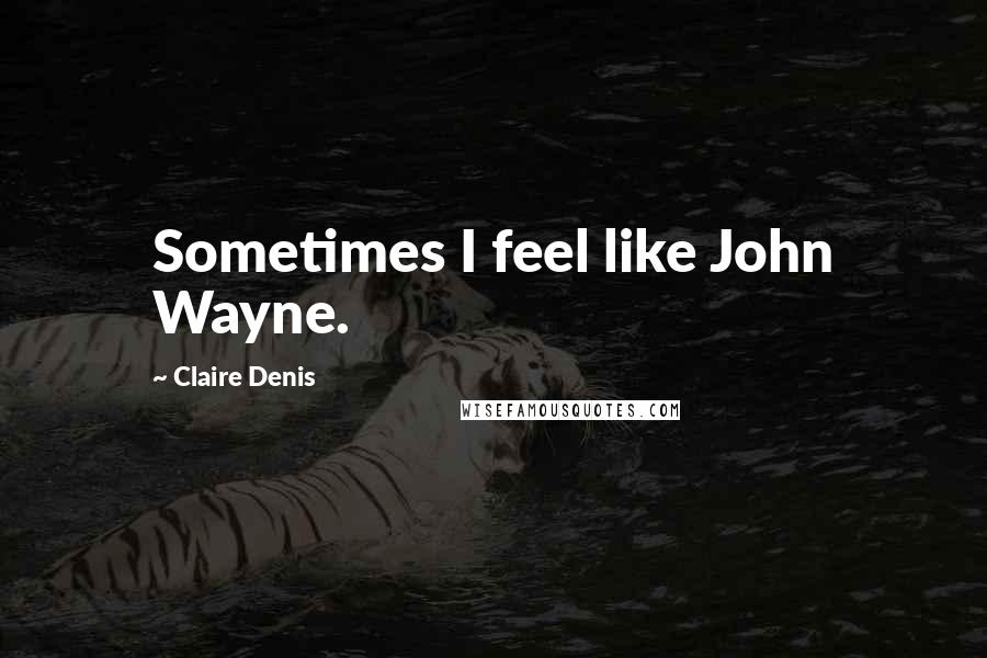 Claire Denis Quotes: Sometimes I feel like John Wayne.