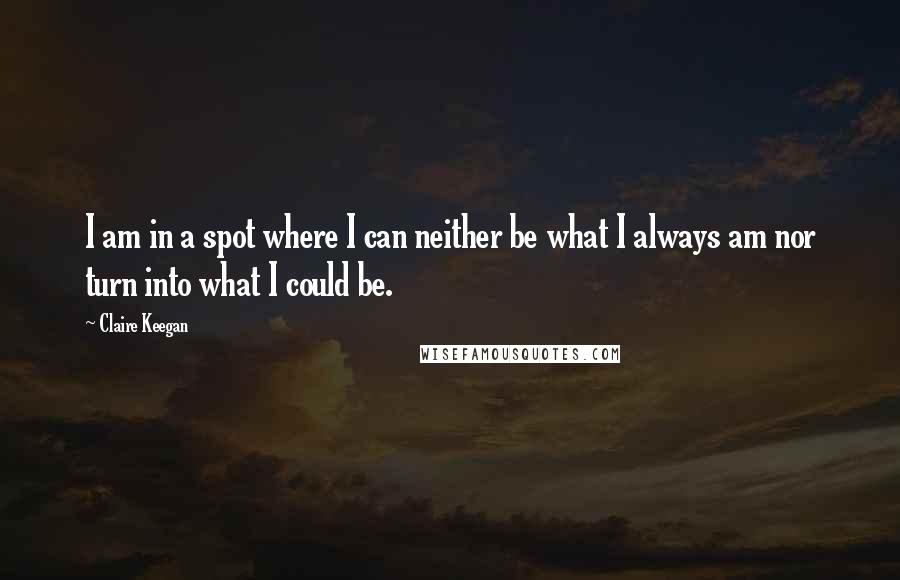 Claire Keegan Quotes: I am in a spot where I can neither be what I always am nor turn into what I could be.