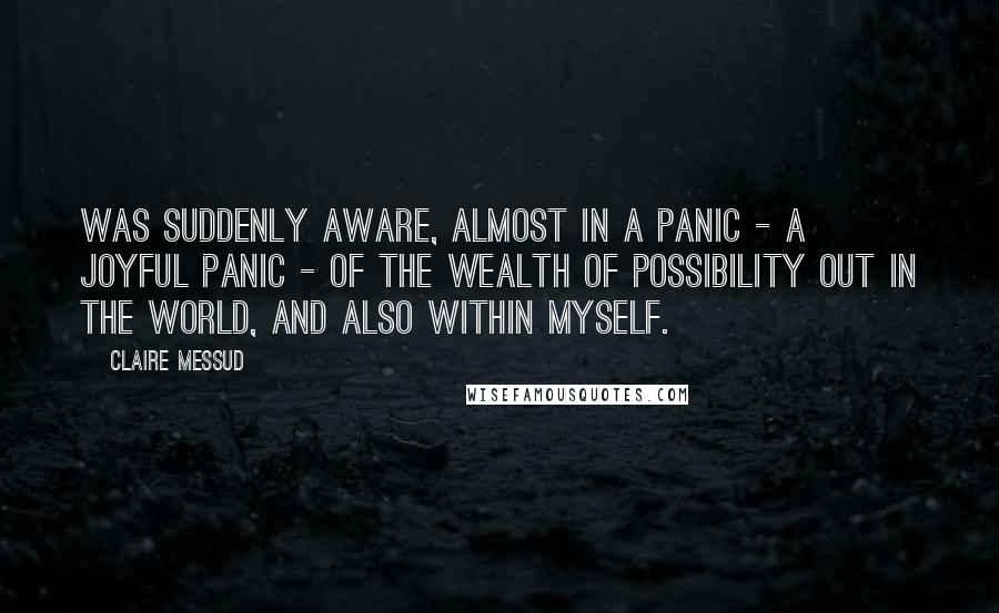 Claire Messud Quotes: Was suddenly aware, almost in a panic - a joyful panic - of the wealth of possibility out in the world, and also within myself.