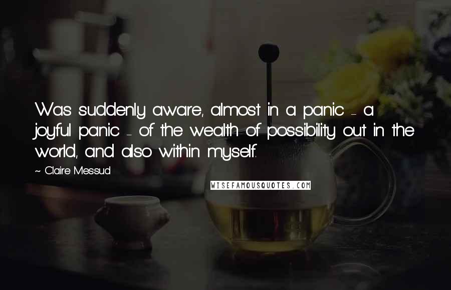 Claire Messud Quotes: Was suddenly aware, almost in a panic - a joyful panic - of the wealth of possibility out in the world, and also within myself.