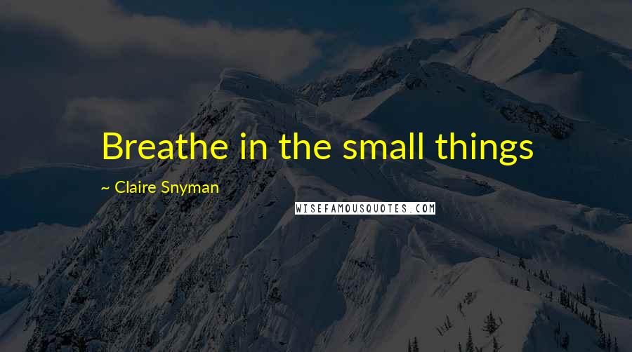 Claire Snyman Quotes: Breathe in the small things