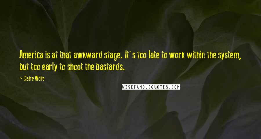 Claire Wolfe Quotes: America is at that awkward stage. It's too late to work within the system, but too early to shoot the bastards.