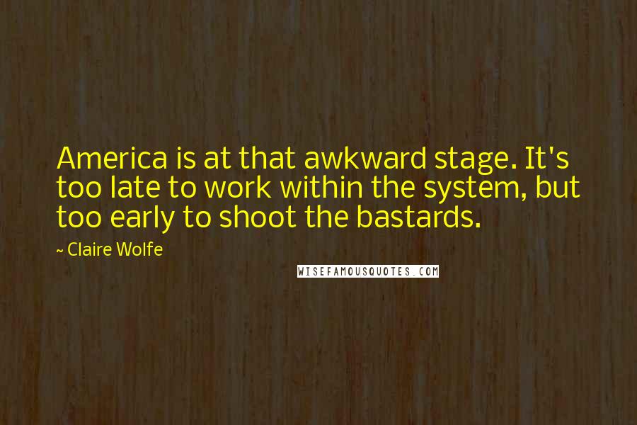 Claire Wolfe Quotes: America is at that awkward stage. It's too late to work within the system, but too early to shoot the bastards.