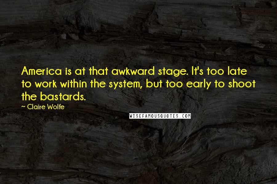 Claire Wolfe Quotes: America is at that awkward stage. It's too late to work within the system, but too early to shoot the bastards.