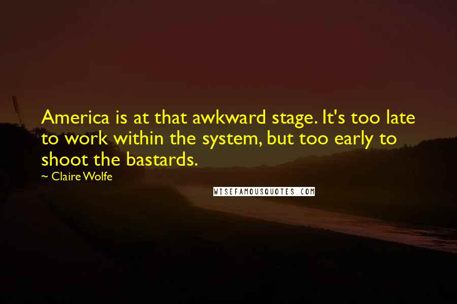 Claire Wolfe Quotes: America is at that awkward stage. It's too late to work within the system, but too early to shoot the bastards.