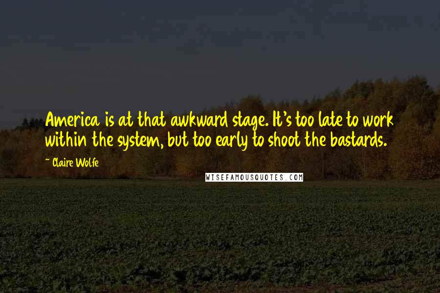 Claire Wolfe Quotes: America is at that awkward stage. It's too late to work within the system, but too early to shoot the bastards.