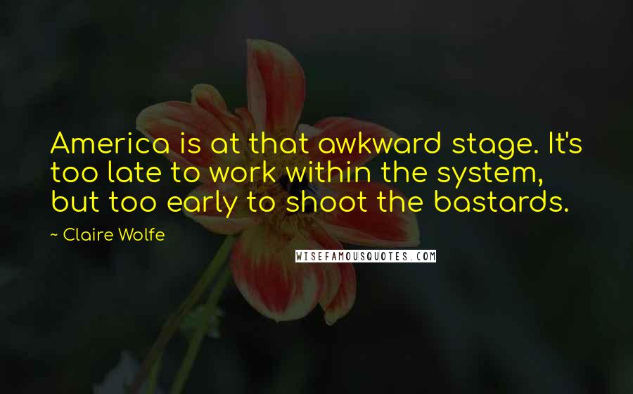 Claire Wolfe Quotes: America is at that awkward stage. It's too late to work within the system, but too early to shoot the bastards.