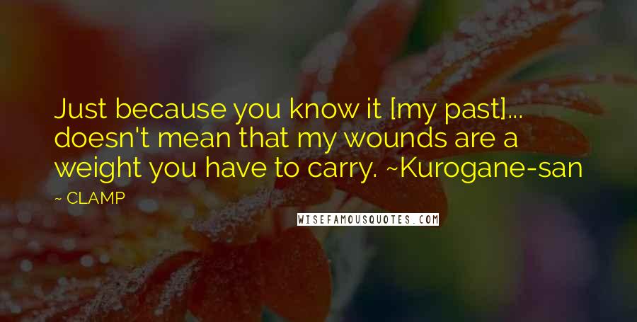 CLAMP Quotes: Just because you know it [my past]... doesn't mean that my wounds are a weight you have to carry. ~Kurogane-san