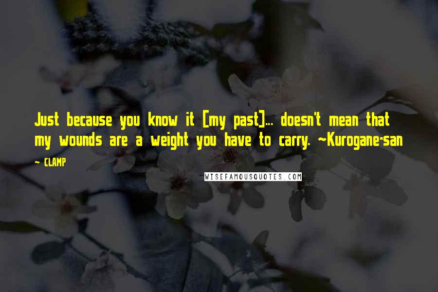 CLAMP Quotes: Just because you know it [my past]... doesn't mean that my wounds are a weight you have to carry. ~Kurogane-san