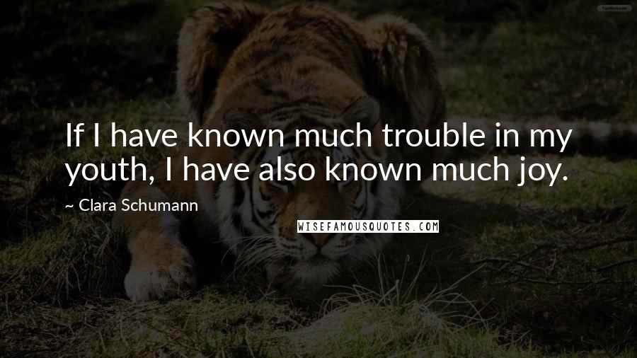 Clara Schumann Quotes: If I have known much trouble in my youth, I have also known much joy.