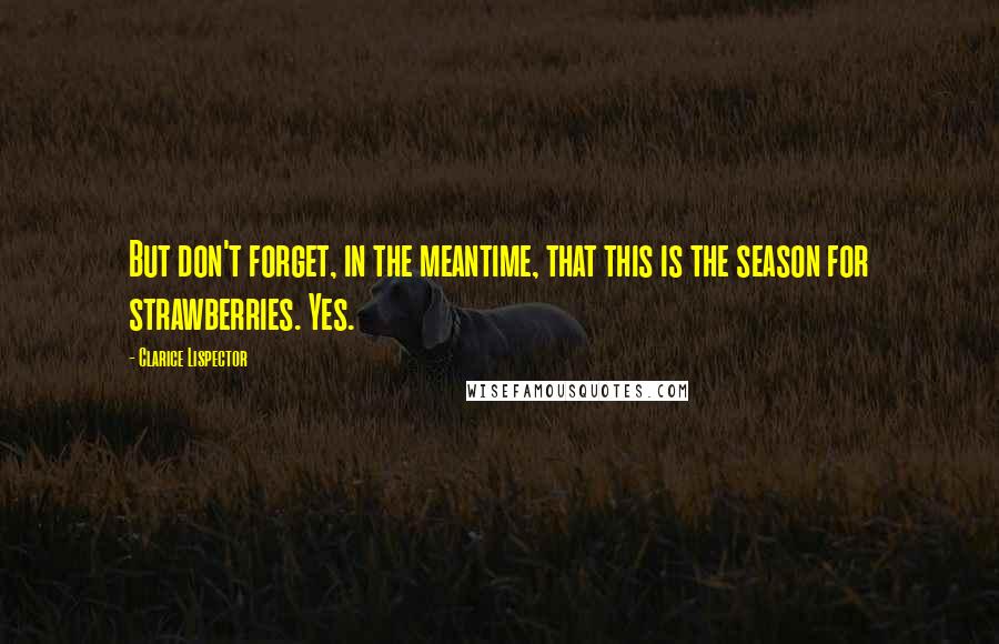 Clarice Lispector Quotes: But don't forget, in the meantime, that this is the season for strawberries. Yes.