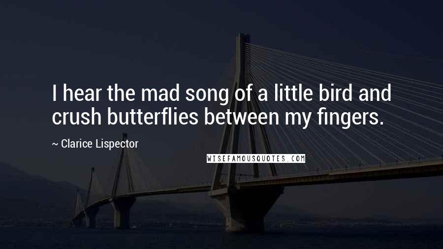 Clarice Lispector Quotes: I hear the mad song of a little bird and crush butterflies between my fingers.